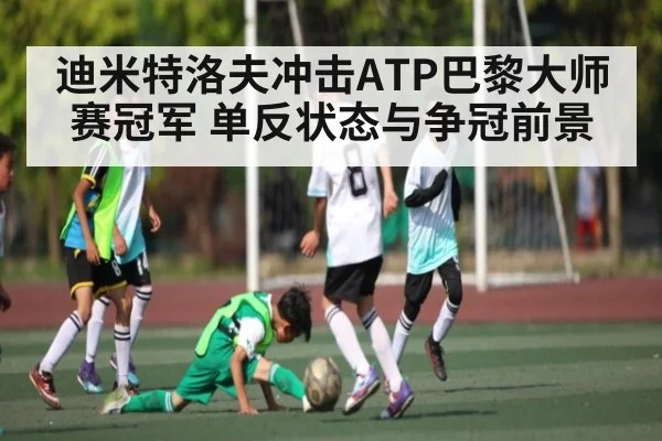 迪米特洛夫冲击ATP巴黎大师赛冠军 单反状态与争冠前景 - kaiyun